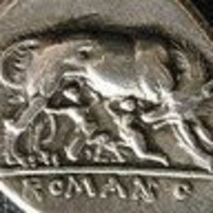 Meet your Posher, Tedde